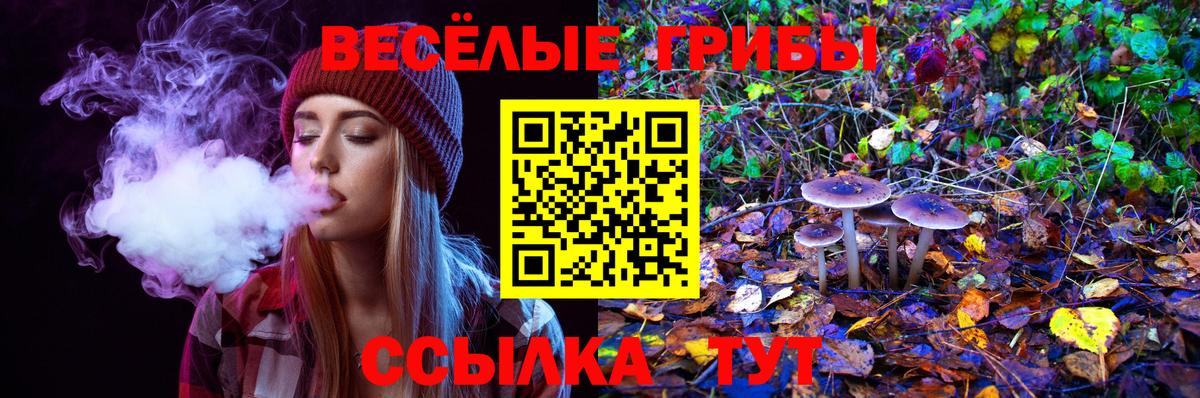 Галлюциногенные грибы MAGIC MUSHROOMS  Галлюциногенные грибы мицелий  Вход с VPN  Набережные Челны 